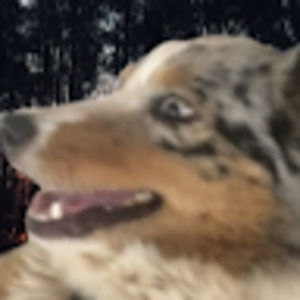 Meet your Posher, Joshua